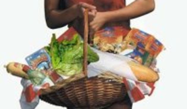 Mjesečna sindikalna košarica