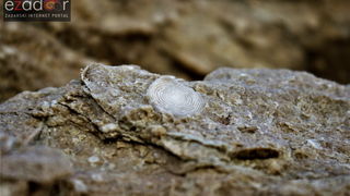 Metajna: Pag Island Star Trekk- Life on Mars Edition Metajna: Pag Island Star Trekk- Life on Mars Edition