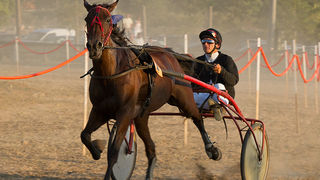 Polača: 14. Međunarodne konjičke utrke “Oluja 95”, Foto: Leo Banić Polača: 14. Međunarodne konjičke utrke “Oluja 95”, Foto: Leo Banić