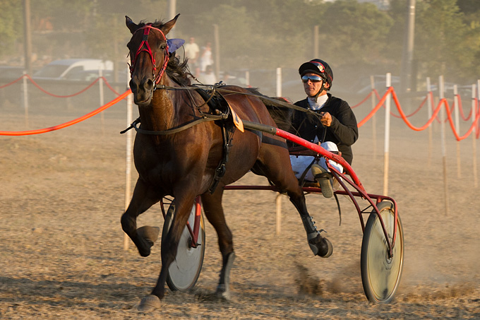 Polača: 14. Međunarodne konjičke utrke “Oluja 95”, Foto: Leo Banić Polača: 14. Međunarodne konjičke utrke “Oluja 95”, Foto: Leo Banić