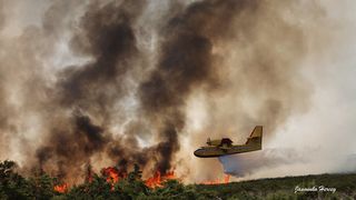 Lokaliziran požar kod Košljuna na otoku Pagu Lokaliziran požar kod Košljuna na otoku Pagu