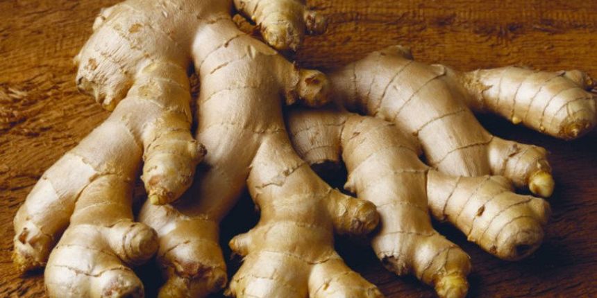 Đumbir, Foto: Punokufer.hr Đumbir, Foto: Punokufer.hr