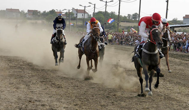 Trke konja u Polaci (18.08.2007.)