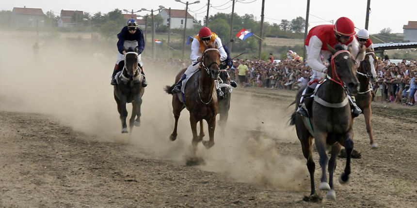 Trke konja u Polaci (18.08.2007.)