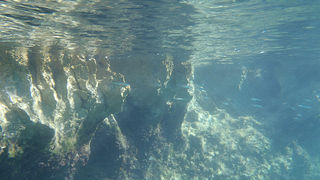 OLYMPUS DIGITAL CAMERA OLYMPUS DIGITAL CAMERA