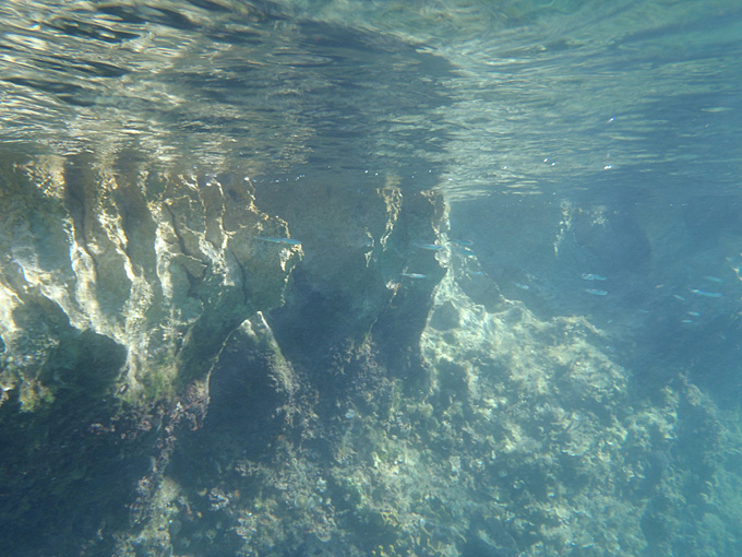 OLYMPUS DIGITAL CAMERA OLYMPUS DIGITAL CAMERA