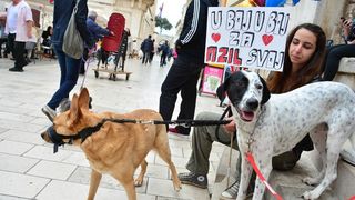 Skup podrške za NO KILL skloništa za životinje,  foto Iva Perinčić