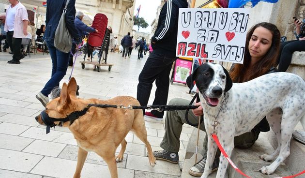 Skup podrške za NO KILL skloništa za životinje,  foto Iva Perinčić