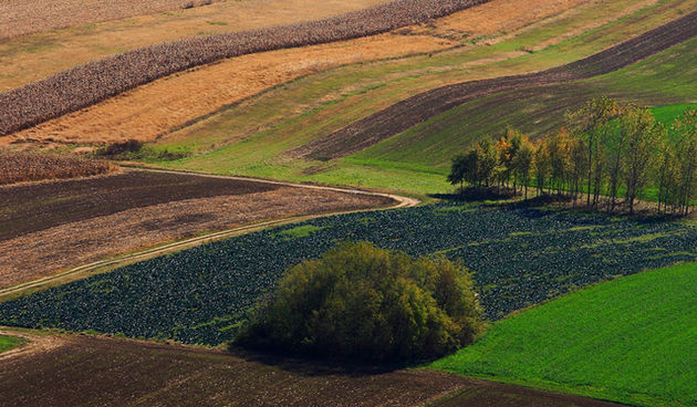 Vukovarsko-srijemska županija, foto: www.visitvukovar-srijem.com