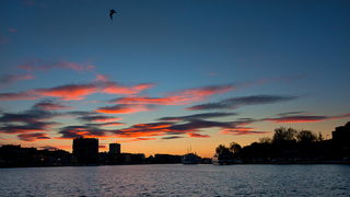 Zadarsko svitanje 14. prosinca 2010, Foto: Leo Banic