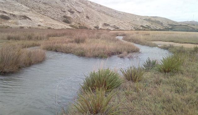 U Vlašićima predavanje i terenska nastava na temu “Ljepota malih močvarnih staništa”