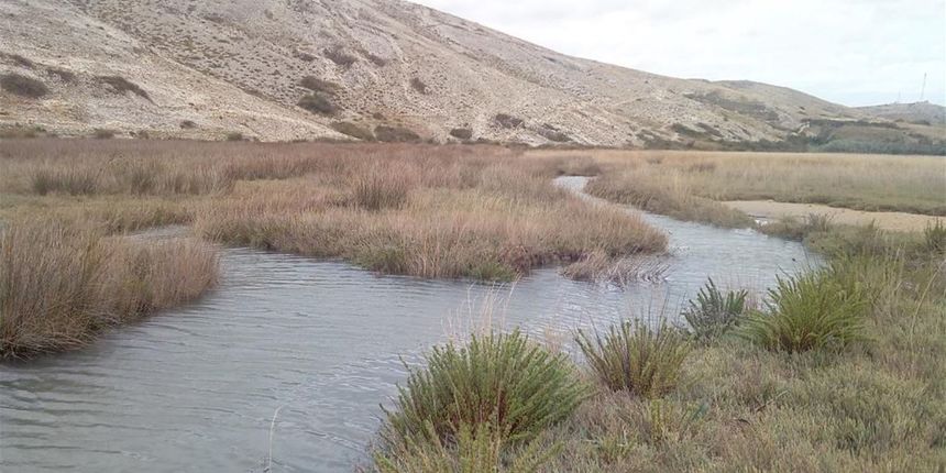 U Vlašićima predavanje i terenska nastava na temu “Ljepota malih močvarnih staništa” U Vlašićima predavanje i terenska nastava na temu “Ljepota malih močvarnih staništa”