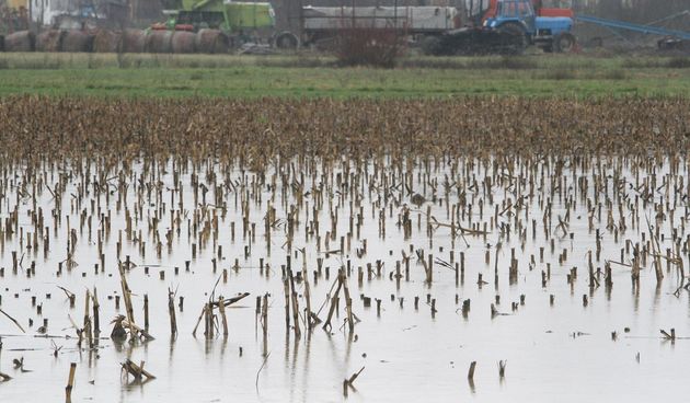 Elementarna nepogoda