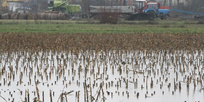 Elementarna nepogoda Elementarna nepogoda