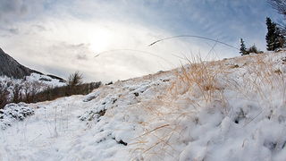 Đir do vrha Zečjak na sjevernom Velebitu, Foto: Leo Banić