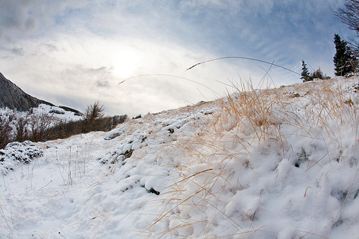 Đir do vrha Zečjak na sjevernom Velebitu, Foto: Leo Banić