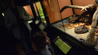 Otvorenje izložbe “Zmije – opasna ljepota”, foto: Iva Perinčić Otvorenje izložbe “Zmije – opasna ljepota”, foto: Iva Perinčić