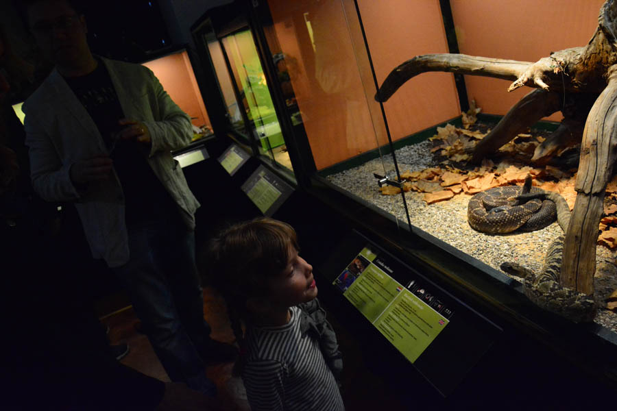 Otvorenje izložbe “Zmije – opasna ljepota”, foto: Iva Perinčić Otvorenje izložbe “Zmije – opasna ljepota”, foto: Iva Perinčić