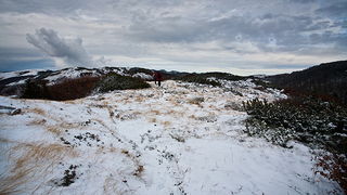 Đir do vrha Zečjak na sjevernom Velebitu, Foto: Leo Banić