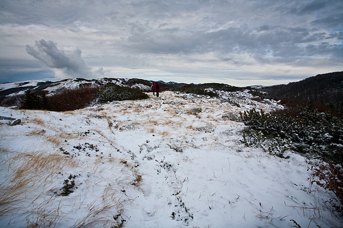 Đir do vrha Zečjak na sjevernom Velebitu, Foto: Leo Banić