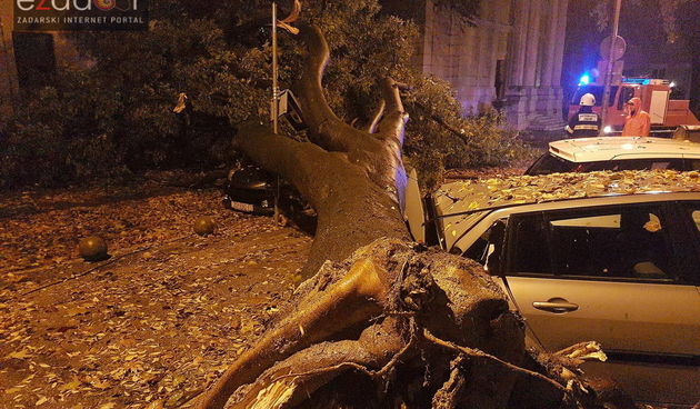 Jak vjetar srušio stablo na parkirane automobile kod OŠ Petar Preradović na Poluotoku