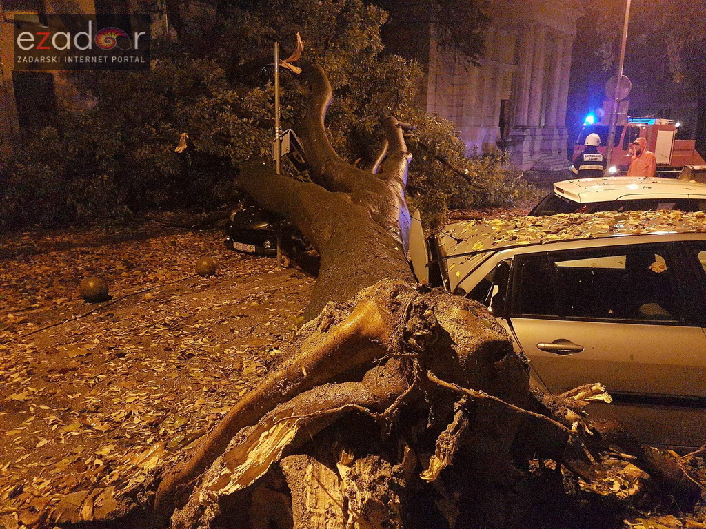 Jak vjetar srušio stablo na parkirane automobile kod OŠ Petar Preradović na Poluotoku