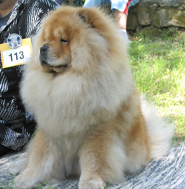 Image 1171087 (auto)