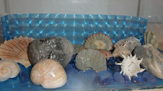 Otvoren dječji vrtić “Radost” na Višnjiku Otvoren dječji vrtić “Radost” na Višnjiku