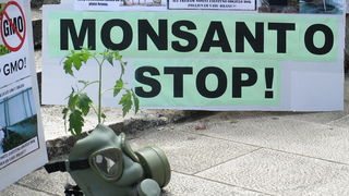 Prosvjed protiv Monstanta u Zadru