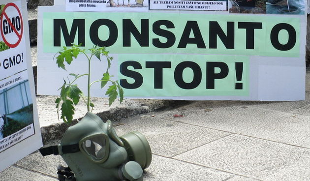 Prosvjed protiv Monstanta u Zadru