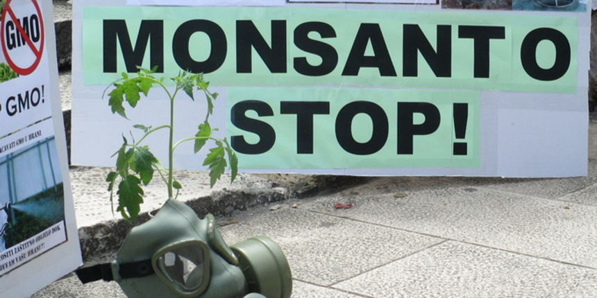 Prosvjed protiv Monstanta u Zadru