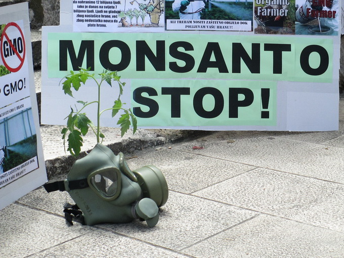 Prosvjed protiv Monstanta u Zadru