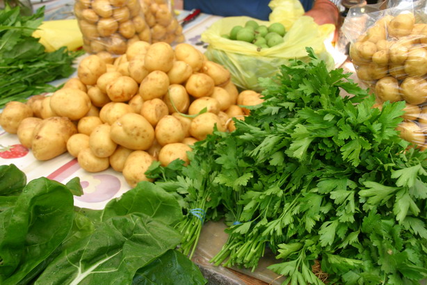 Image 1201857 (auto)