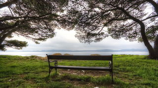Skitnja gradom 11. listopada 2013.  Foto: Roberto Lerga