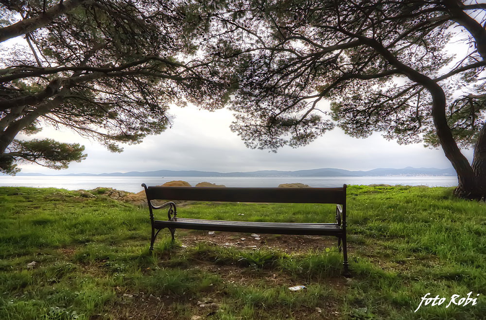 Skitnja gradom 11. listopada 2013.  Foto: Roberto Lerga