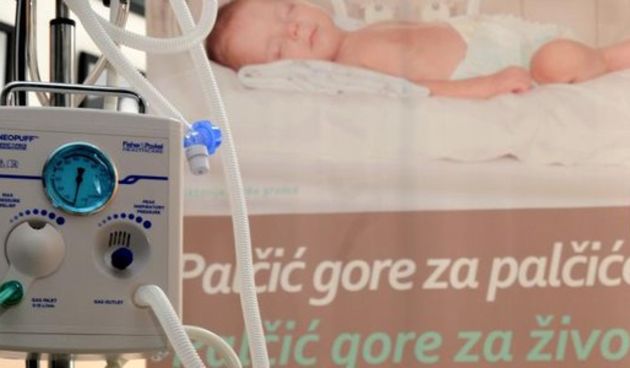 U Kalima se nastavlja akcija “Palčić gore”, Foto: Goran Ferbezar/PIXSELL