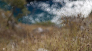 Izlet na Kudin most, foto: Darko Belančić Izlet na Kudin most, foto: Darko Belančić