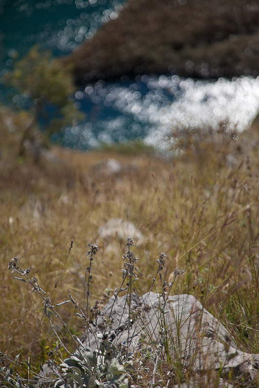 Izlet na Kudin most, foto: Darko Belančić Izlet na Kudin most, foto: Darko Belančić