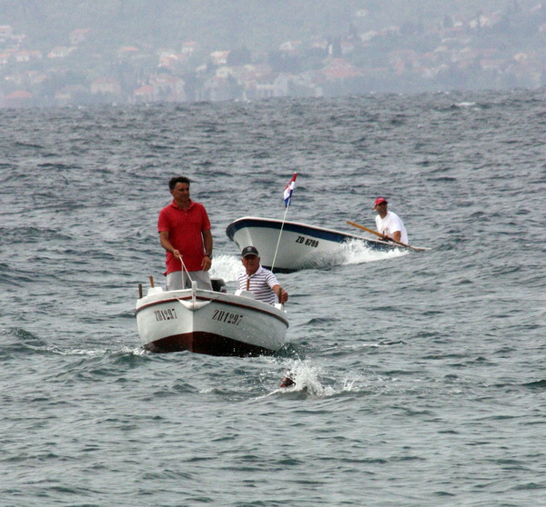 Dani Dikla 2009: Dr Velimir Susak Taci isplivao maraton Preko-Diklo Dani Dikla 2009: Dr Velimir Susak Taci isplivao maraton Preko-Diklo