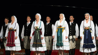 Bibinje: Nastup ansambla Lado, foto: Leo Banić