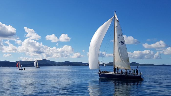 Zadarska Koka 2016. 22. listopada 2016. Foto: Mladen Malik Zadarska Koka 2016. 22. listopada 2016. Foto: Mladen Malik
