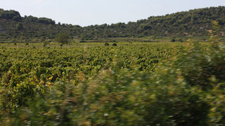 Image 1117689 (auto)