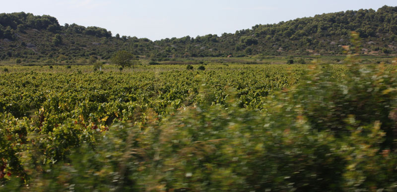 Image 1117689 (auto)