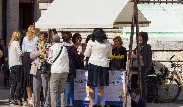 Đir po gradu 25. ožujka 2017.