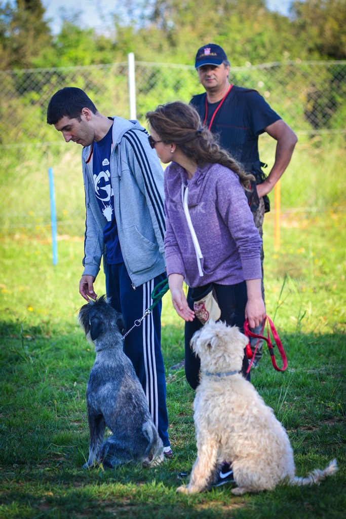 Kinološka udruga Malinois