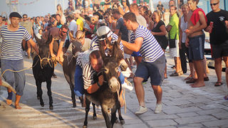 52. Saljske užance, 7. kolovoza 2011.(foto:Saša Čuka)