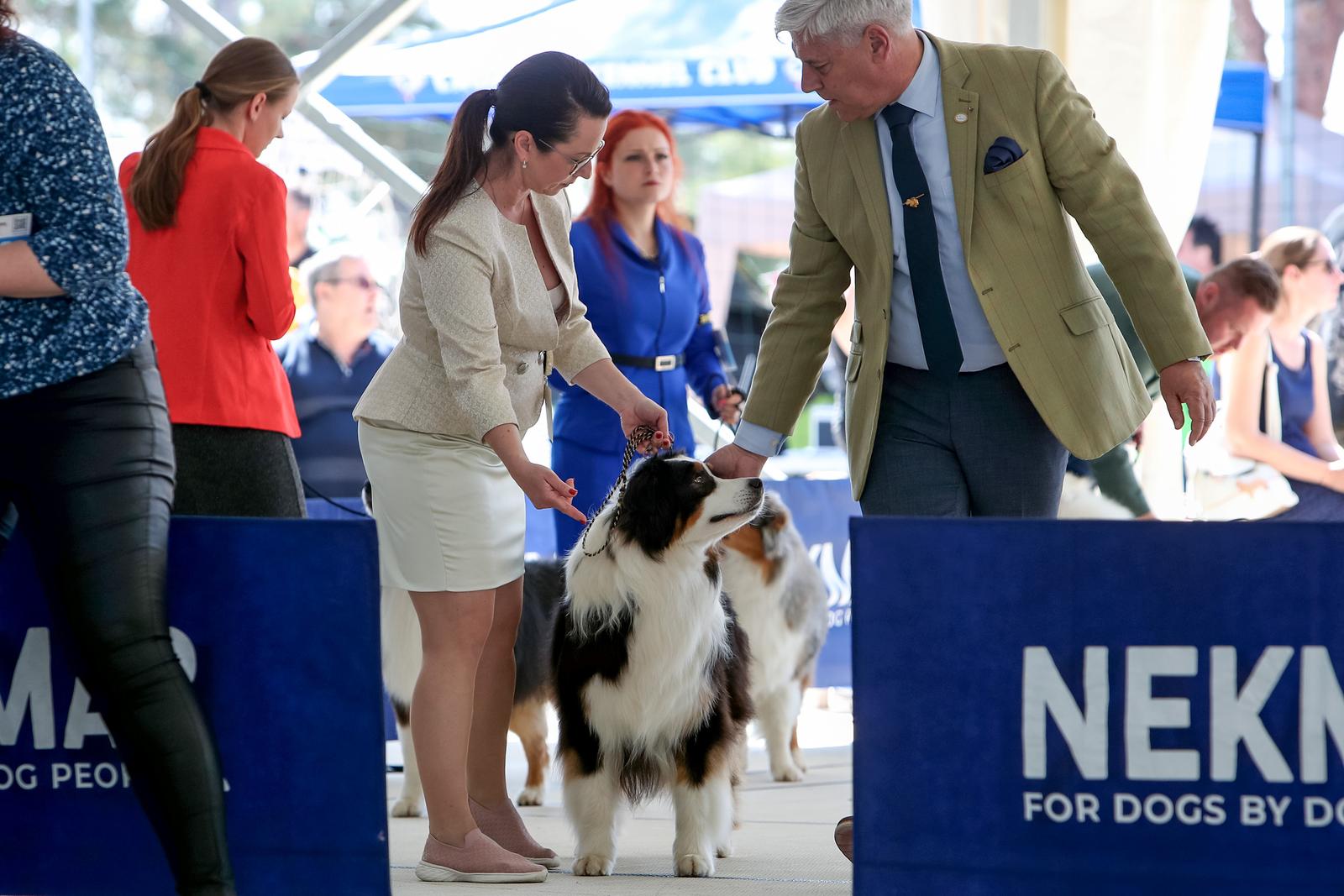 Međunarodna izložba pasa CACIB 2023