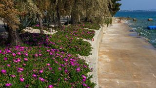 Nedjeljnja šetnja od Dikla do Pinije, Foto: Mladen Radolović Mrlja Nedjeljnja šetnja od Dikla do Pinije, Foto: Mladen Radolović Mrlja
