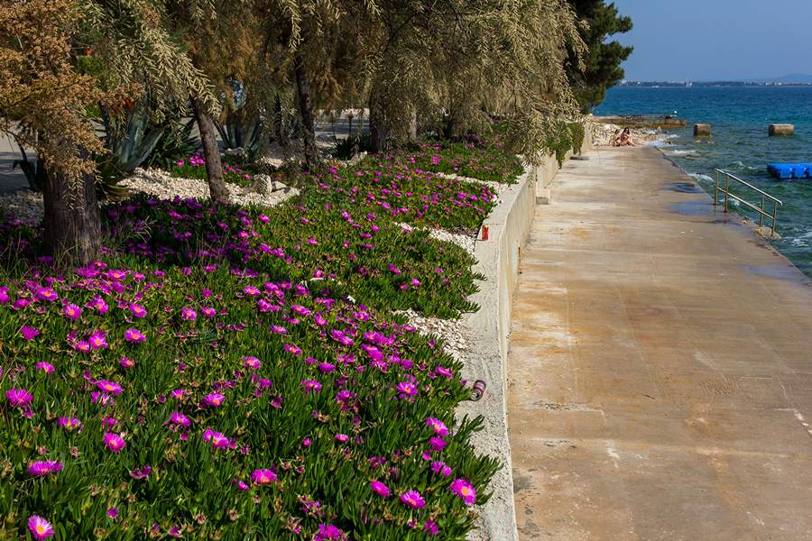 Nedjeljnja šetnja od Dikla do Pinije, Foto: Mladen Radolović Mrlja Nedjeljnja šetnja od Dikla do Pinije, Foto: Mladen Radolović Mrlja