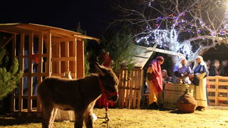 U Diklu kod bunara upriličene žive jaslice U Diklu kod bunara upriličene žive jaslice